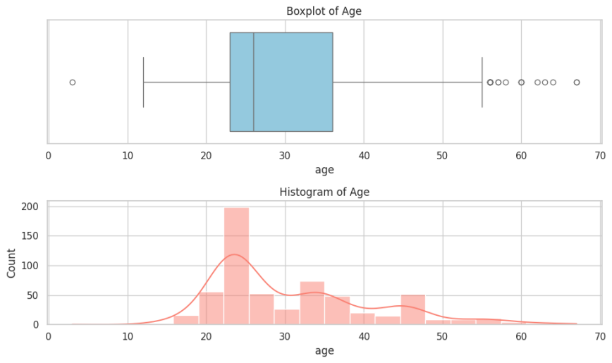 Figure 1. Composite Visualization of Customer Age Distribution