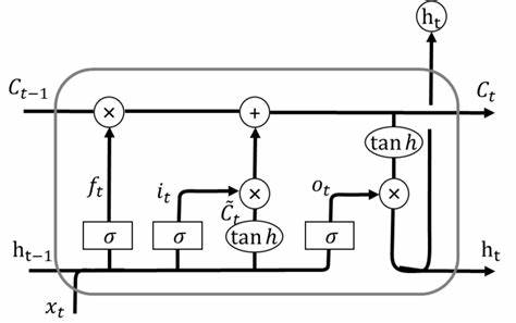Figure 2. The network structure of the long short-term memory network model.