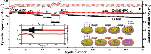 Figure 1.  Building a graphene-metal hybrid scaffold through a multi-step process [12]
