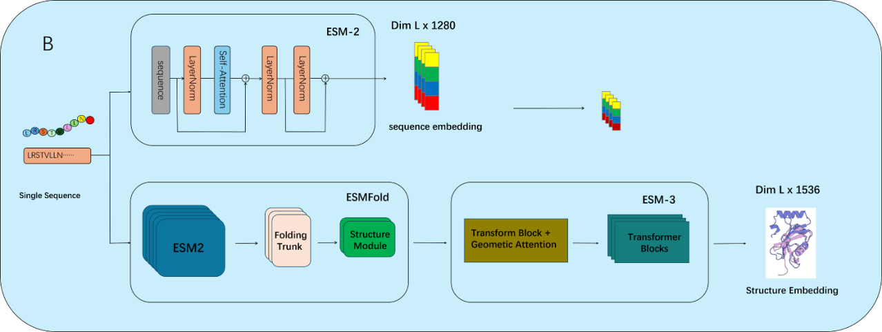 Figure 2. Feature representation pipeline