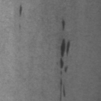Figure 2. Impurities
