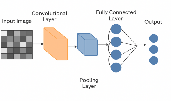 Figure 2. Schematic diagram of CNN structure