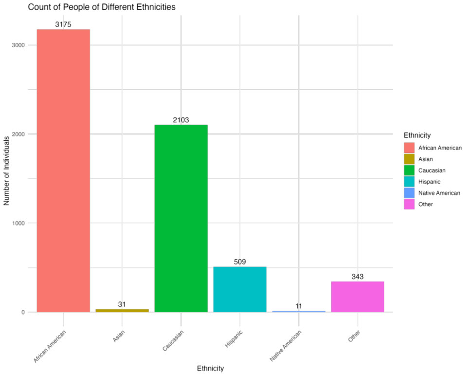 Figure 2. Count of people of different ethnicities.