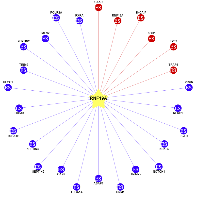 Figure 2. Prediction of Substrates for RNF19A