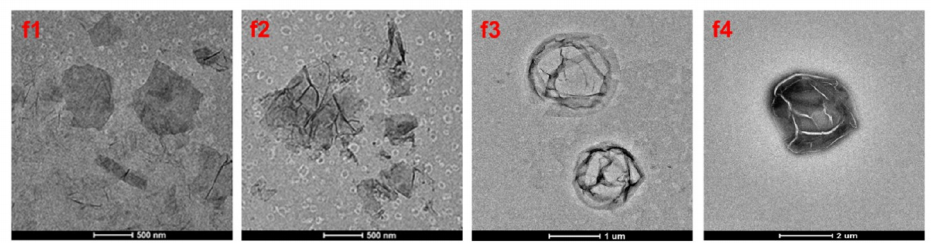 Figure 3. Transmission electron microscope images: f1:GO; f2:rGO-TH; f3:SV MBs; f4:SV@rGO-TH MBs [9].