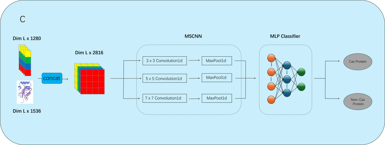 Figure 3. Classification framework