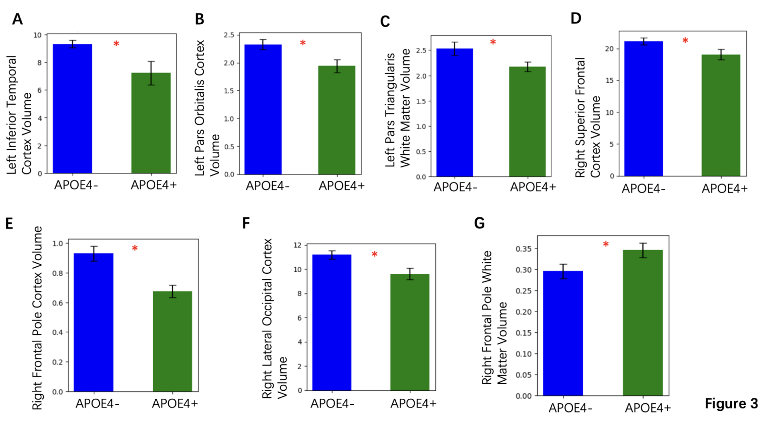 Figure 3. Comparison of Key Imaging Parameters Between APOE4+ and APOE4- Groups (A) Left Inferior Temporal Cortex Volume Bar graph comparing the mean volume of the left inferior temporal cortex between APOE4+ and APOE4- groups. Error bars represent SEM (p < 0.05) (B) Left Pars Orbitalis Cortex Volume Bar graph showing the mean volume of the left par orbitalis cortex for APOE4+ and APOE4- groups. Error bars represent SEM (p < 0.05) (C) Left Pars Triangularis White Matter Volume Bar graph illustrating the mean volume of the left pars triangularis white matter for APOE4+ and APOE4- groups. Error bars represent SEM (D) Right Lateral Occipital Cortex Volume Bar graph showing the mean volume of the right lateral occipital cortex for APOE4+ and APOE4- groups. Error bars represent SEM. The APOE4+ group shows a significant reduction (p < 0.05) (E) Right Superior Frontal Cortex Volume Bar graph depicting the mean volume of the right superior frontal cortex for APOE4+ and APOE4- groups. Error bars represent SEM. Showing a statistically significant reduction in the APOE4+ group (p < 0.05) (F) Right Frontal Pole Cortex Volume Bar graph comparing the mean volume of the right frontal pole cortex between APOE4+ and APOE4- groups. Error bars represent SEM (p < 0.05) (G) Right Frontal Pole White Matter Volume Bar graph illustrating the mean volume of the right frontal pole white matter for APOE4+ and APOE4- groups. Error bars represent SEM. (p < 0.05) reflects white matter loss in APOE4+ group. N=25 in APOE4+, N=59 in APOE4-