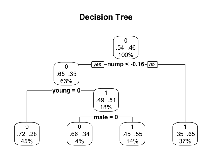 Figure 3. Decision Tree on Recidivism Risk Factors.