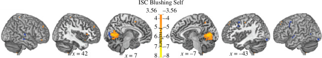 Figure 4. ISC exhibited by the participants in the early visual cortex.