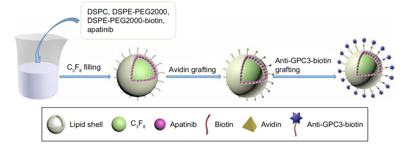 Figure 4. Schematic diagram of fabrication of TALNBs [12]