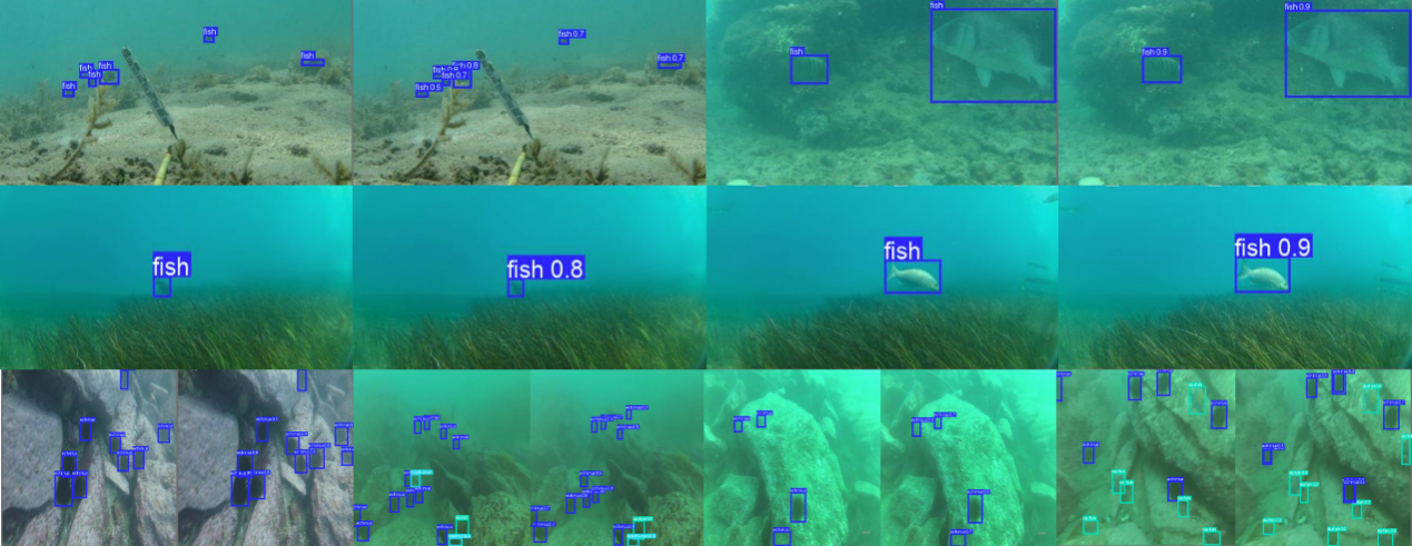 Figure 5.  The comparison results of SUD-YOLO on different datasets. The first and third columns are ground truth, the second and fourth columns are the detection results.
