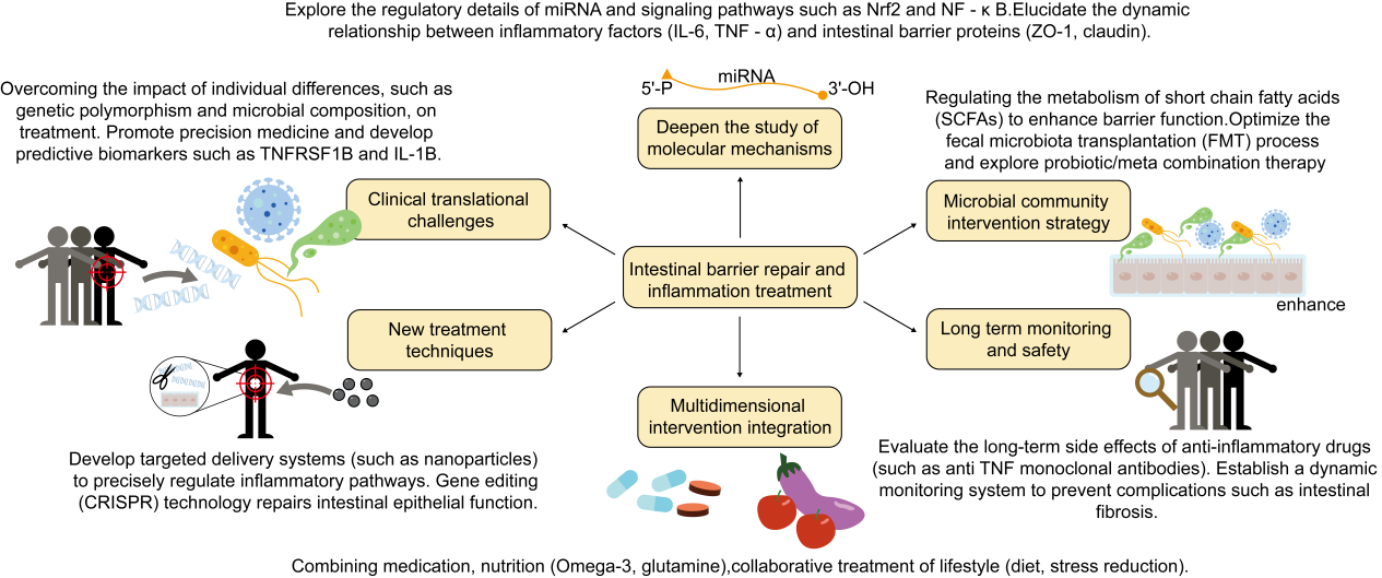 Figure 5. Future perspectives on the repair of intestinal damage and the treatment of inflammation