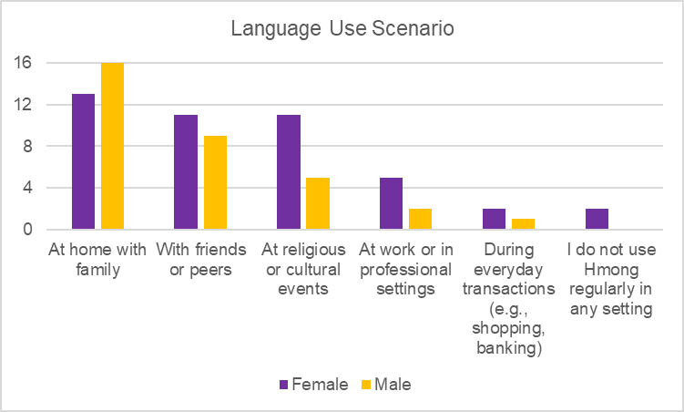 Figure 5. Language Use Scenario.