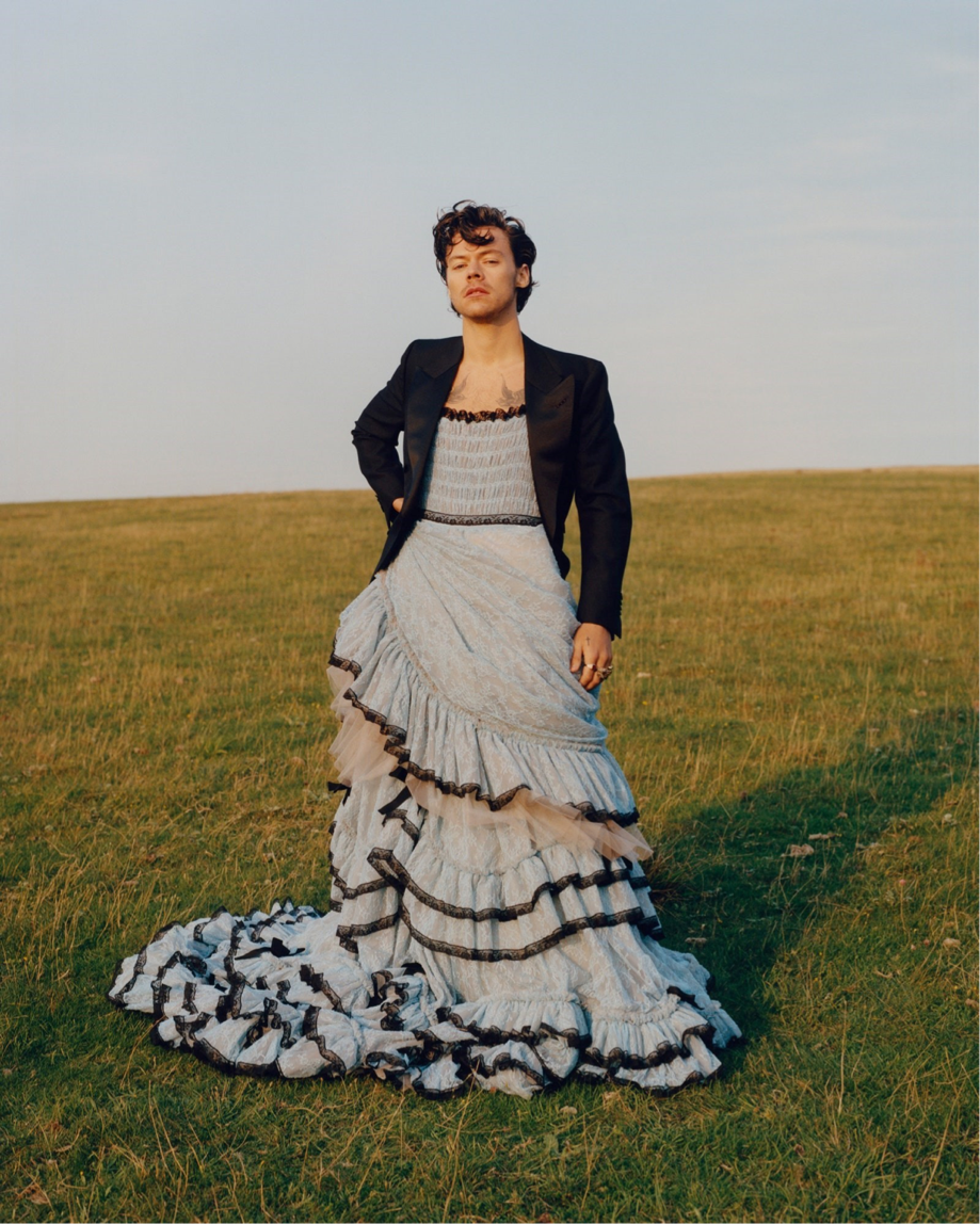 Figure 5. Tyler Mitchel. 2020. Photography. HYPERLINK "https://www.vogue.com/article/harry-styles-cover-december-2020" \h https://www.vogue.com/article/harry-styles-cover-december-2020