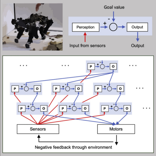 Figure 5. Hierarchical control architecture implemented in a quadruped robot [17].
