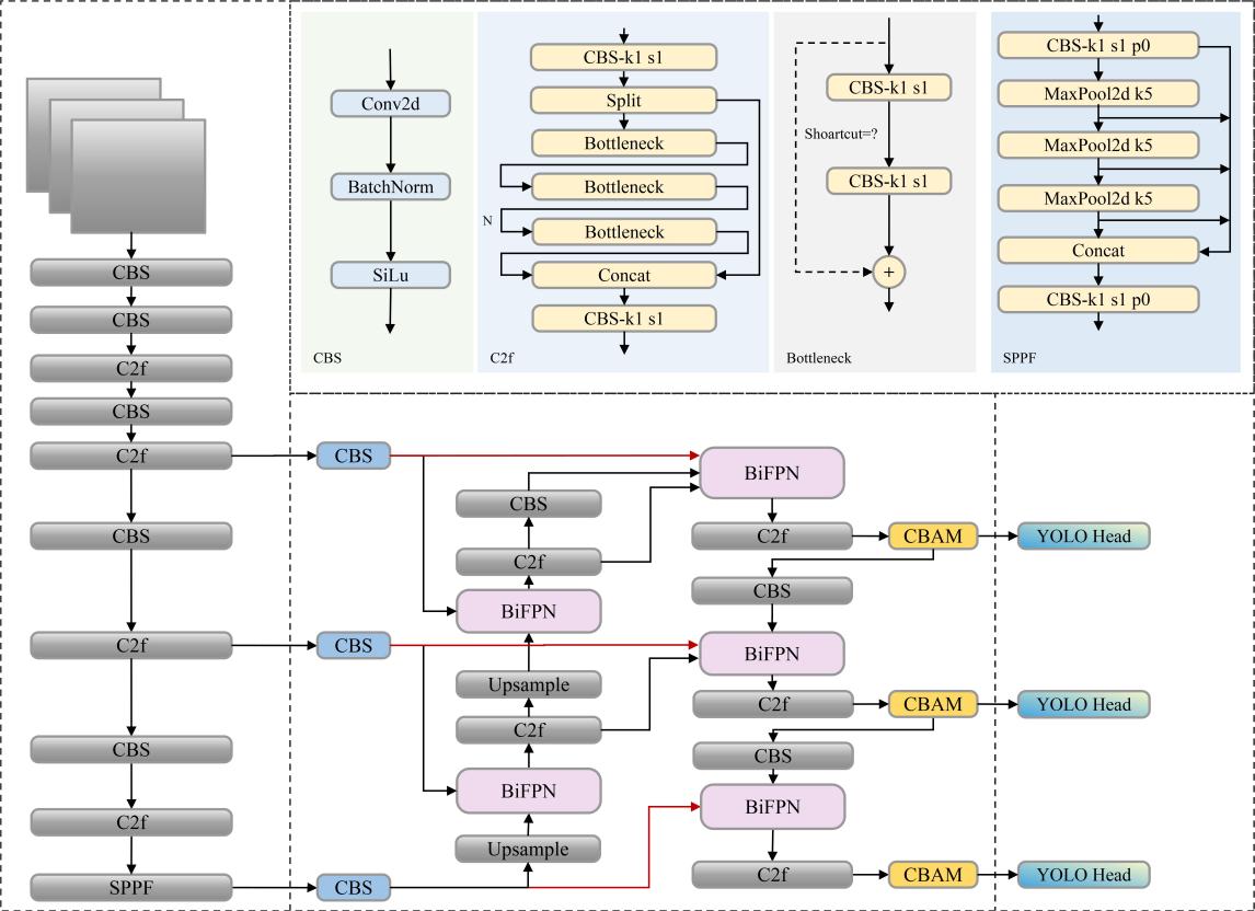 Figure 4. The network structure of BiFPN-CBAM-YOLOv8.