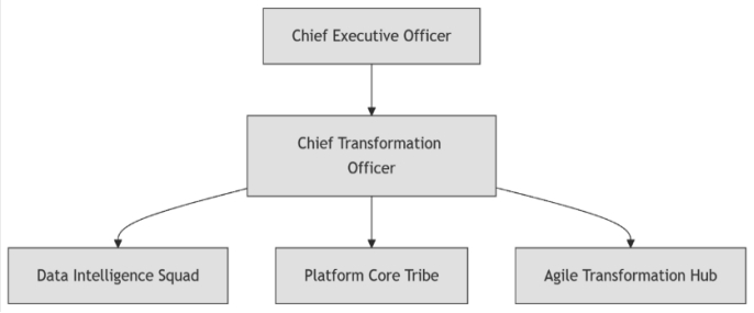 Fig. 7. Innovation of the organizational structure.