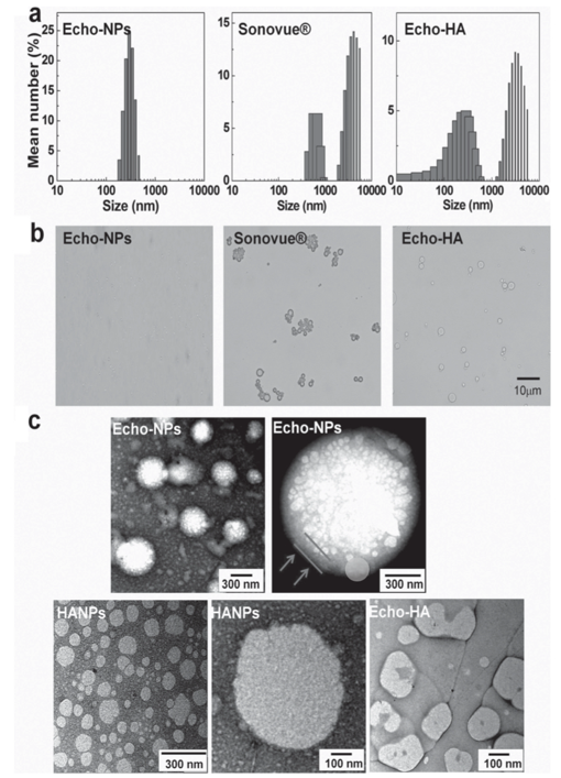 Figure 7. a) Physical properties in terms of hydrodynamic size and zeta potential, b) observation of monodispersed and Echo-HANPs in contrast to extremely heterogeneous and large-sized Sonovue and Echo-HA. c) observation of the inner structure and PFP localization inside Echo-NPs contrasted to HANPs without PFP and HA and PFP simple mixtures (Echo-HA). REF _Ref5061 \r \h  \* MERGEFORMAT [20]