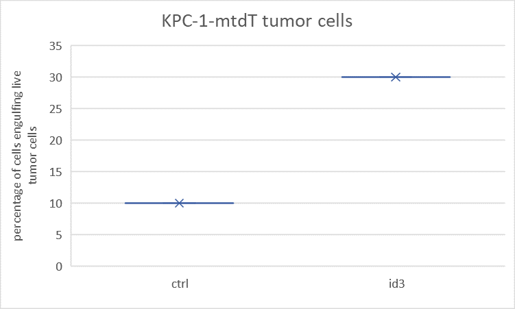 Fig.5. Anticipated percentage of phagocytosed viable tumor cells.