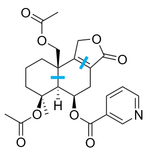 Figure 5. The scheme of breaking bonds
