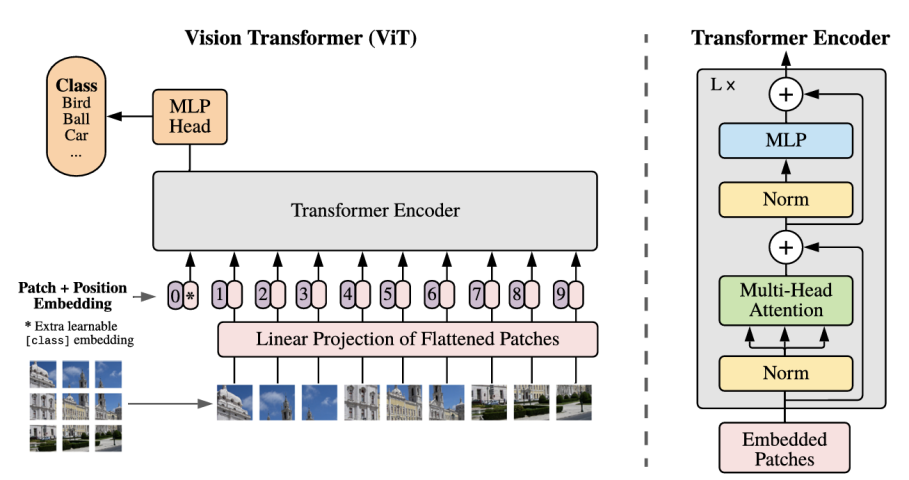 Figure 9. ViT model architecture  ADDIN EN.CITE <EndNote><Cite><Author>Dosovitskiy</Author><Year>2020</Year><RecNum>39</RecNum><DisplayText><style face="superscript"> [9]</style></DisplayText><record><rec-number>39</rec-number><foreign-keys><key app="EN" db-id="sz9trt599eps52e2zwpvw9ep905aadv0srxz" timestamp="1751648276">39</key></foreign-keys><ref-type name="Journal Article">17</ref-type><contributors><authors><author>Dosovitskiy, Alexey</author><author>Beyer, Lucas</author><author>Kolesnikov, Alexander</author><author>Weissenborn, Dirk</author><author>Zhai, Xiaohua</author><author>Unterthiner, Thomas</author><author>Dehghani, Mostafa</author><author>Minderer, Matthias</author><author>Heigold, Georg</author><author>Gelly, Sylvain</author></authors></contributors><titles><title>An image is worth 16x16 words: Transformers for image recognition at scale</title><secondary-title>arXiv preprint arXiv:2010.11929</secondary-title></titles><periodical><full-title>arXiv preprint arXiv:2010.11929</full-title></periodical><dates><year>2020</year></dates><urls></urls></record></Cite></EndNote> [9]
