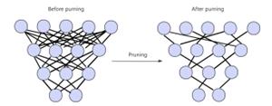 fig1