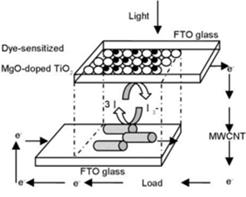 fig1