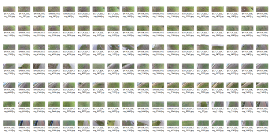 /word/media/image5.png