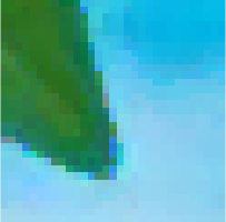 /word/media/image12.png